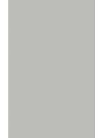 Bande de chant Abs Gris...