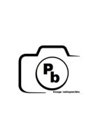 Lambris blanchi brut de...