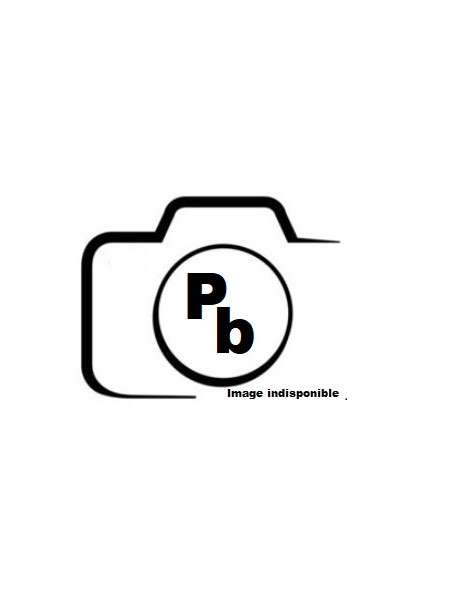 Rive bardelis gauche...