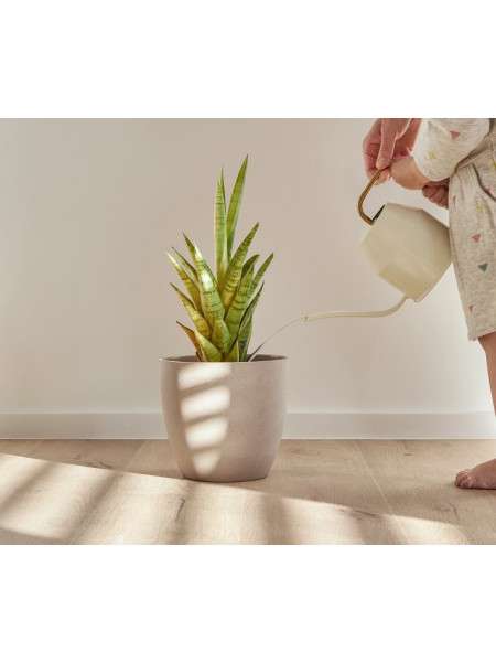 Sol vinyle Coretec Naturals...