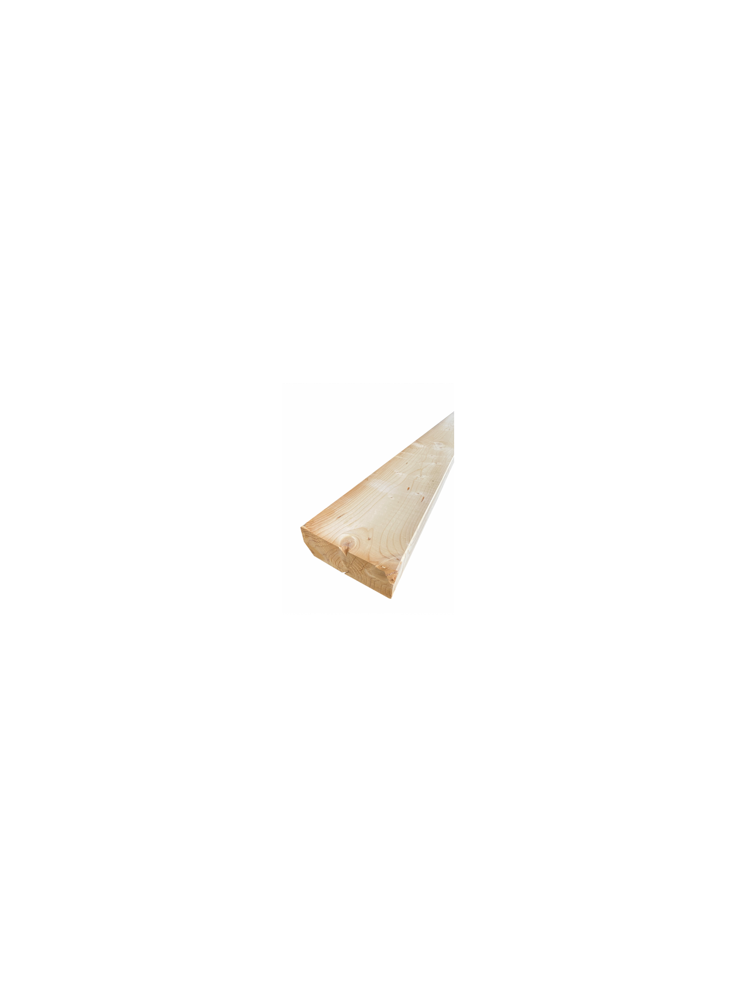 5565