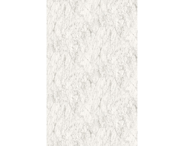 7445
